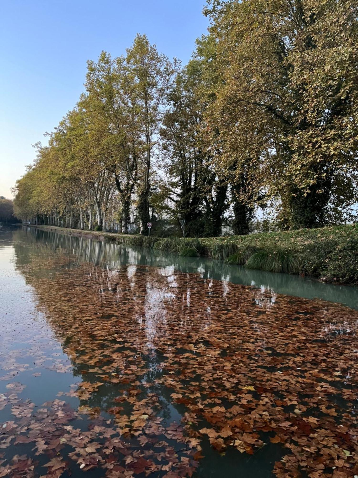 Maison Eclusiere Le Coup De Pompe Meilhan-sur-Garonne Exterior foto